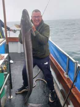 conger