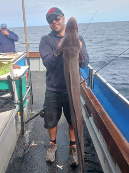 conger