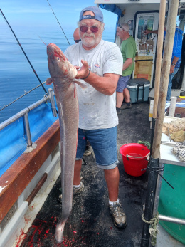 conger