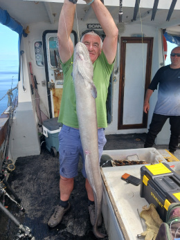 conger